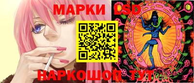 СК Новодвинск