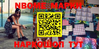 СК Новодвинск