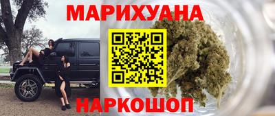 СК Новодвинск