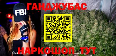 СК Новодвинск