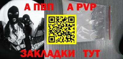 СК Новодвинск