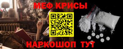 СК Новодвинск