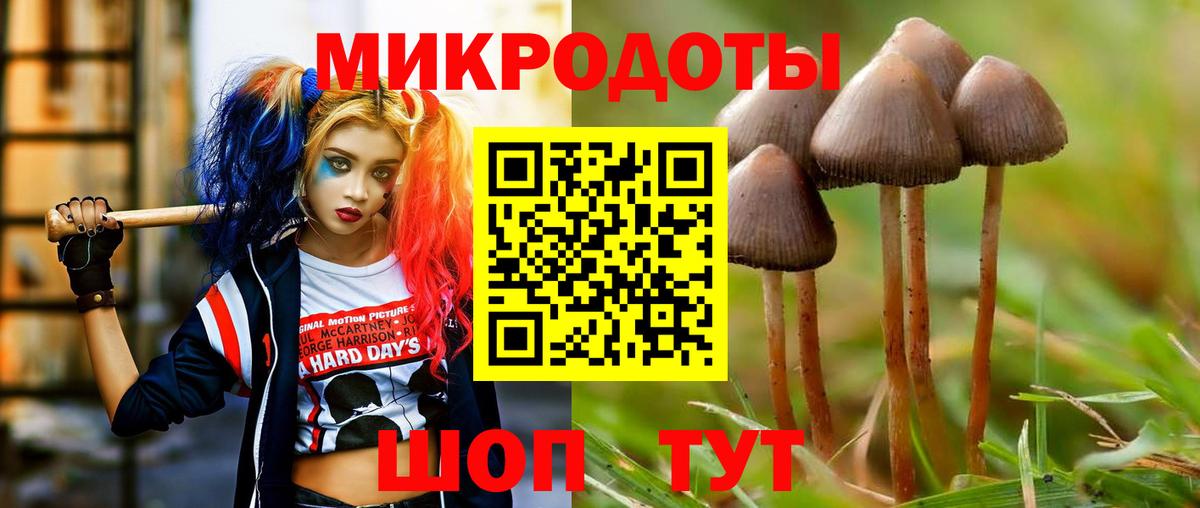 Галлюциногенные грибы прущие грибы  Псилоцибиновые грибы прущие грибы  цены наркотик  Тайшет  Вход с VPN 